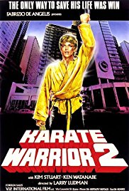 Watch Free Karate Warrior 2 (1988)